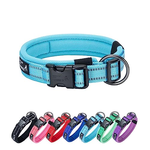 EXCELLENT ELITE SPANKER Reflektierendes klassisches weiches gepolstertes atmungsaktives Nylon einstellbares Haustierhalsband mit Schnellverschluss für kleine mittlere große Hunde Training（LBLU-S von EXCELLENT ELITE SPANKER