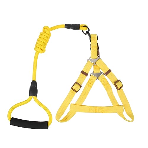EXHUMKY 1 Set Haustierleine, Nylon Hundeleine, Hundegeschirr, Geschirr Für Kleine Hunde, Hundeleinen Set Zum Spazierengehen, Hundegeschirr, Trainingsleine Für Welpen, Welpengeschirr von EXHUMKY