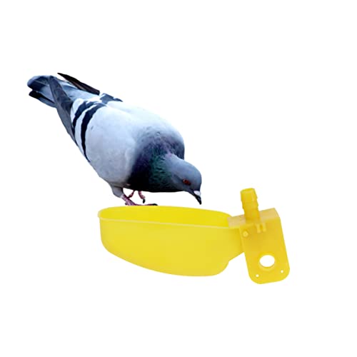 EXHUMKY Automatische Vogeltränke 12 Stücke Kunststoff Wassernapf für Wachteln Tauben und Hühner Futterspender und Wassertrinker für Käfige Einfach zu Reinigen und Praktisch für Haustiere EXHUMKY Automatische Vogeltränke 12 Stücke Kunststoff Wassernapf für Wachteln Tauben und Hühner Futterspender und Wassertrinker für Käfige Einfach zu Reinigen und Praktisch für Haustiere von EXHUMKY