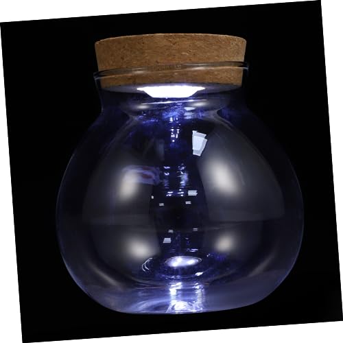EXHUMKY Glas Terrarium Mit Integrierter Beleuchtung Zylindrische Flasche Für Mikro-Landschaft Fischbehälter Und Hydroponik Dekorative Lösung Für Ihr Zuhause von EXHUMKY