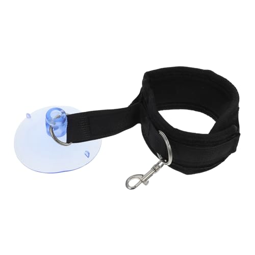 EXHUMKY Hunde- Und Katzenbadezubehör Becherpflegehalter Verstellbare Robuste Leine Wandhalterung Haustier-badestation Zubehör EXHUMKY Hunde- Und Katzenbadezubehör Becherpflegehalter Verstellbare Robuste Leine Wandhalterung Haustier-badestation Zubehör von EXHUMKY