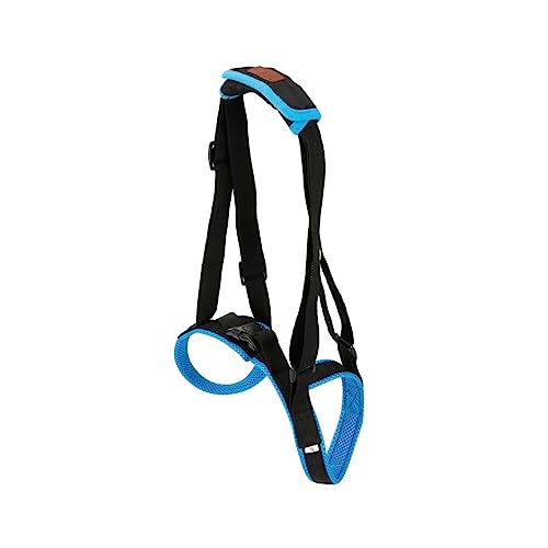 EXHUMKY Hundegeschirr zur Unterstützung Älterer Hunde mit Beinschwäche Blau Pet Support Belt für Treppenhilfe und Atmungsaktives Material für Optimalen und EXHUMKY Hundegeschirr zur Unterstützung Älterer Hunde mit Beinschwäche Blau Pet Support Belt für Treppenhilfe und Atmungsaktives Material für Optimalen und von EXHUMKY
