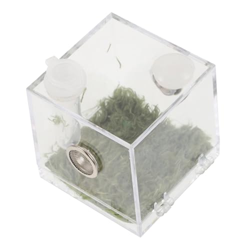 EXHUMKY Klarer Spinnenzuchtkasten Transparentes Habitat für Springspinnen Insektenbox aus mit Belüftungslöchern für Aufzucht von Spinnen und Kleinen Insekten EXHUMKY Klarer Spinnenzuchtkasten Transparentes Habitat für Springspinnen Insektenbox aus mit Belüftungslöchern für Aufzucht von Spinnen und Kleinen Insekten von EXHUMKY