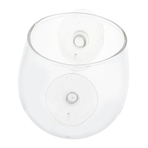 EXHUMKY Reptilien Futternapf mit Saugnapf Transparente Futter Wasserschale für Echsen und Chamäleons aus Langlebigem Glas Ausbruchssicher und Praktisch für Reptilienpflege von EXHUMKY