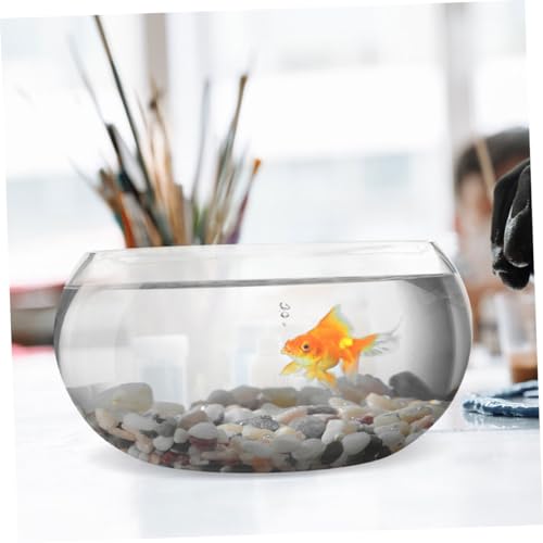 EXHUMKY Runde Fischschale Transparente Wasserschale für Zuhause Kompakte Tischdekoration Modernes Design Hochwertiges für Pflanzen und Kleine Aquarien EXHUMKY Runde Fischschale Transparente Wasserschale für Zuhause Kompakte Tischdekoration Modernes Design Hochwertiges für Pflanzen und Kleine Aquarien von EXHUMKY