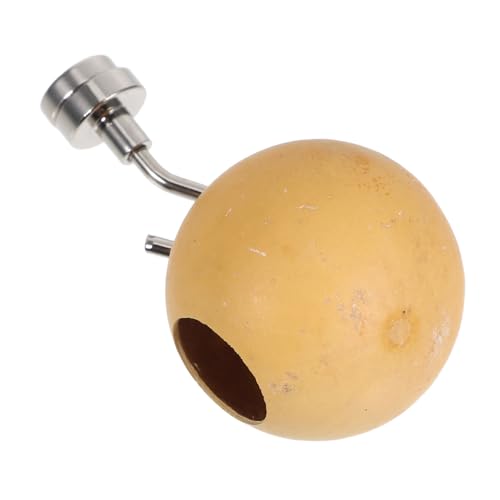 EXHUMKY Sprungspinnenhäute Magnetischer Spinnenhideaway Spinnenhaut Magnetische Spinnenhöhle Spinne Versteckt Lebensraum Springender Spinnenlebensraum Kletterplattform Rostfreier EXHUMKY Sprungspinnenhäute Magnetischer Spinnenhideaway Spinnenhaut Magnetische Spinnenhöhle Spinne Versteckt Lebensraum Springender Spinnenlebensraum Kletterplattform Rostfreier von EXHUMKY