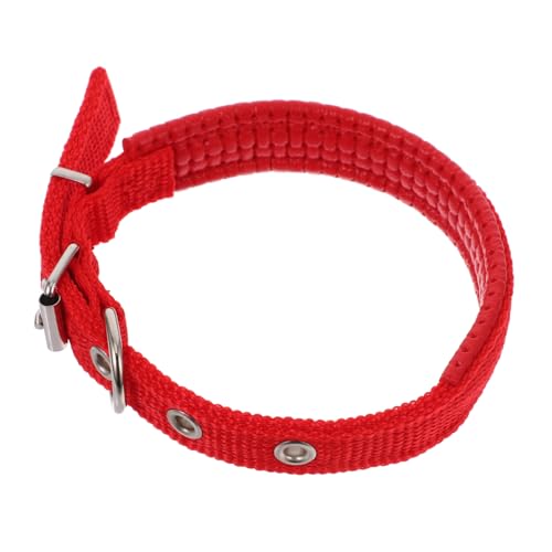 EXHUMKY Verschleißfestes Haustierhalsband Bequeme Schnalle Aus Schaumstofflegierung Mit Doppelfunktion Für Halsbandleine Großes Hundehalsband Aus Polyester EXHUMKY Verschleißfestes Haustierhalsband Bequeme Schnalle Aus Schaumstofflegierung Mit Doppelfunktion Für Halsbandleine Großes Hundehalsband Aus Polyester von EXHUMKY