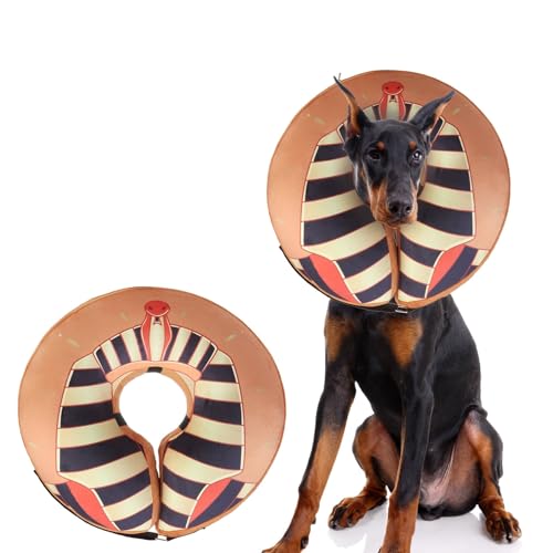 EXPAWLORER Extra breites, weiches Hundehalsband – aufblasbares Donut-Halsband für Hunde, Alternative nach Operationen, um Lecken zu stoppen, verstellbar, schützendes E-Kragen (Rharaoh) von EXPAWLORER