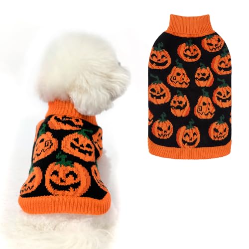 EXPAWLORER Halloween-Hundepullover – Kürbis-Herbst-Hundepullover mit Loch für die Leine, warmer Rollkragenpullover für kleine, mittelgroße und große Hunde und Katzen, Orange, Größe M EXPAWLORER Halloween-Hundepullover – Kürbis-Herbst-Hundepullover mit Loch für die Leine, warmer Rollkragenpullover für kleine, mittelgroße und große Hunde und Katzen, Orange, Größe M von EXPAWLORER