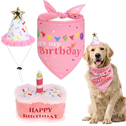 EXPAWLORER Hund Geburtstag Party Supplies,Niedliche Hunde-Geburtstagsmütze, Festlicher Geburtstagskuchen Hund quietschendes Kauspielzeug, Hundemotiv Geburtstag Party Supplies Geschenk von EXPAWLORER