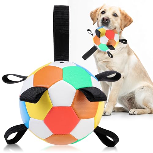 EXPAWLORER Hunde-Fußball-Spielzeug - Outdoor-Spielzeug für Hunde mit Gurten, langlebiges interaktives Hundespielzeug, Chewie-Hundeball, Wasserspielzeug für Welpen, kleine, mittelgroße und große Hunde EXPAWLORER Hunde-Fußball-Spielzeug - Outdoor-Spielzeug für Hunde mit Gurten, langlebiges interaktives Hundespielzeug, Chewie-Hundeball, Wasserspielzeug für Welpen, kleine, mittelgroße und große Hunde von EXPAWLORER