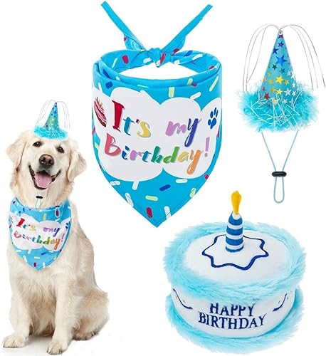 EXPAWLORER Hunde-Geburtstags-Halstuch-Set – niedlicher Hut und quietschendes Kuchen-Spielzeug für Geburtstagsparty, Geschenk, ideal für kleine, mittelgroße und große Hunde von EXPAWLORER