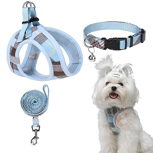 EXPAWLORER Hundegeschirr mit Karomuster, kleines Hundehalsband und Leine mit Airtag-Halterung, gepolstert, verstellbar, weiches Netzgewebe, kein Ziehen, reflektierend, ausbruchsicher, Blau, Größe S von EXPAWLORER
