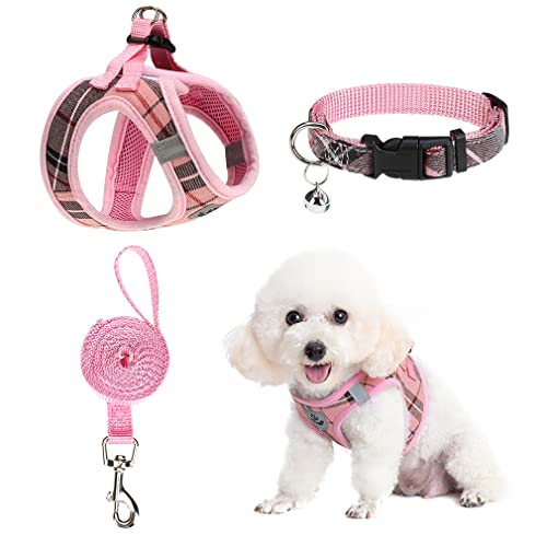 EXPAWLORER Hundegeschirr und Leine Set – Step in Dog Vest Harness No Pull with Bell Collar, Breathable Mesh Adjustable Puppy Small Dog Harness, Reflective Escape-Proof for Training Outdoor Walking von EXPAWLORER