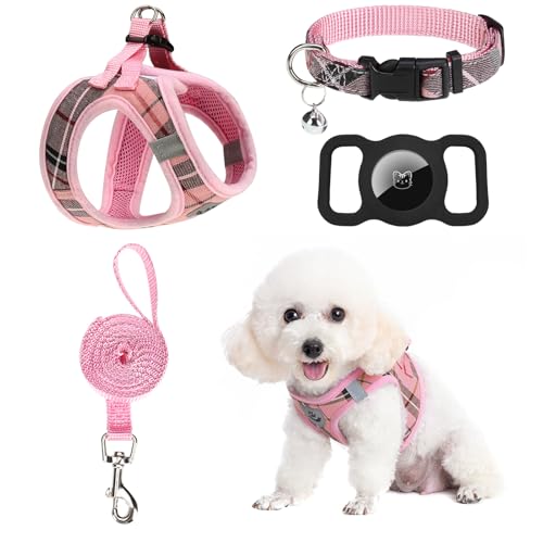 EXPAWLORER Hundegeschirr und Leine Set – Step in Dog Vest Harness No Pull with Bell Collar, Breathable Mesh Adjustable Puppy Small Dog Harness, Reflective Escape-Proof for Training Outdoor Walking von EXPAWLORER