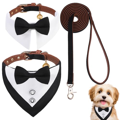 EXPAWLORER Hundehalsband und Leine, Set – Hunde-Smoking-Hochzeits-Outfit, Welpenhalsband mit Anzug und Krawatte, niedlicher Ringträger in Smokingschleife und Bandana-Design, Antragskostüm für kleine von EXPAWLORER