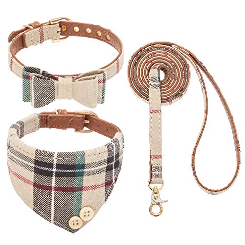 EXPAWLORER Hundehalsband mit Leine - Einstellbarer Hundehalsband mit Tuch Fliege und haltbarer weicher Hundeleine, moderner Halsband und Leine Set für Katze kleine mittelgroße große Hunde, Beige M von EXPAWLORER