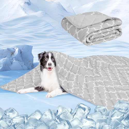 EXPAWLORER Kühldecke für Hunde – kühlende Hundebettmatte, extra groß, Sommer, weiche Unterlage für große Hunde, Welpen, Katzen von EXPAWLORER