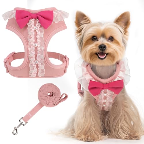 EXPAWLORER Niedliches Hundegeschirr, verstellbar, kein Ziehen, Geschirr mit Leine zum Spazierengehen, weich gepolstert, Hochzeitskleidung, Anzug mit Fliege für kleine, mittelgroße Hunde, Größe S von EXPAWLORER