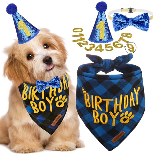 EXPAWLORER Partyzubehör für Hunde – Geburtstags-Jungen-Hundehalstuch, Hunde-Geburtstagshut mit Zahlen, elegante Fliege Hundehalsband, niedliches Hunde-Geburtstags-Outfit für kleine Hunde (klein, blau) von EXPAWLORER