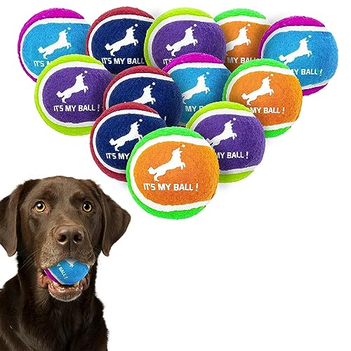 EXPAWLORER Quietschende Tennisbälle für Hunde, 12 Stück, Hundespielzeug zur positiven Verstärkung, hochelastische, langlebige Tennisbälle für aggressive Kauer, interaktive Quietschbälle zur Förderung von EXPAWLORER