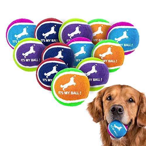 EXPAWLORER Quietschende Tennisbälle für Hunde von EXPAWLORER