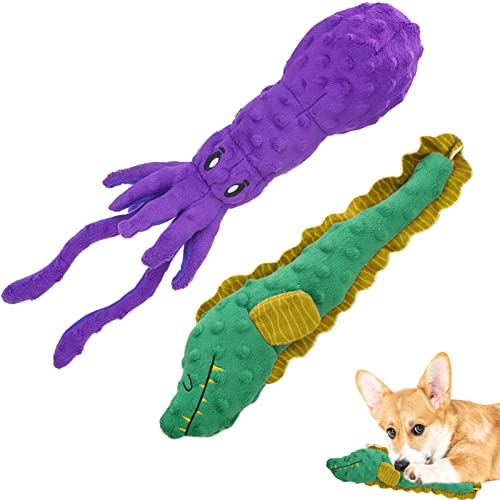 EXPAWLORER Quietschendes Hundespielzeug – 2 Stück gefülltes Plüsch-Kauspielzeug für Hunde mit Quietscher, interaktives Spielzeug für Welpen, kleine und mittelgroße Hunde von EXPAWLORER
