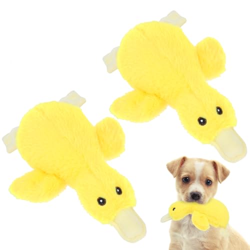 EXPAWLORER Quietschendes Hundespielzeug aus Plüsch – weich gefülltes kleines Hundespielzeug, niedliche gelbe Ente, bestes Geburtstagsgeschenk, interaktives gefülltes Kauspielzeug für Welpen, kleine, von EXPAWLORER