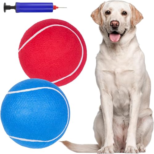 EXPAWLORER Riesige Tennisbälle für Hunde, 2 Stück, 24,1 cm, große Hundespielzeugbälle, Hundegeburtstag, interaktiver, großer Tennisball für Hunde mit aufblasbaren Nadeln für drinnen und draußen, von EXPAWLORER