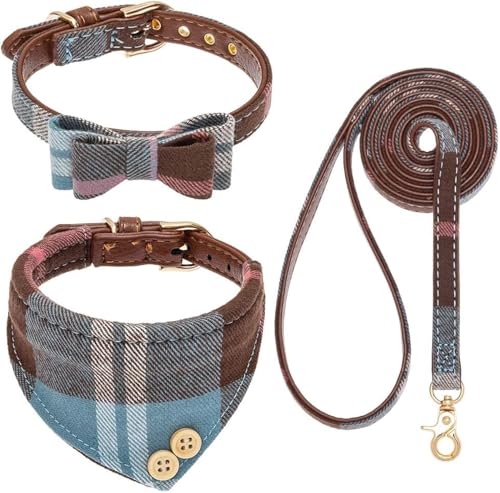 EXPAWLORER Hundehalsband mit Leine - Einstellbarer Hundehalsband mit Tuch Fliege und haltbarer weicher Hundeleine, moderner Halsband und Leine Set für Katze kleine mittelgroße große Hunde, Blau M von EXPAWLORER