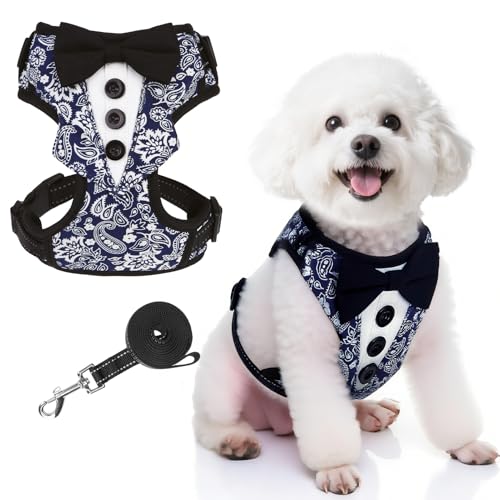 EXPAWLORER Smokinggeschirr für Hunde, verstellbar, kein Ziehen, mit Leine, Hochzeitsanzug, Kleidung mit Fliege, weich gepolstert, Partyoutfit für Welpen, kleine, mittelgroße Hunde, Blau, Größe XS von EXPAWLORER