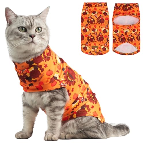EXPAWLORER Thanksgiving-Katzenpullover – Pullover nur für Katzen, weiche, warme Haustierkleidung, Herbst und Winter, Truthahnmantel, Pullover-Design, Fleece, Sweatshirt, Kleidung auch für Welpen von EXPAWLORER