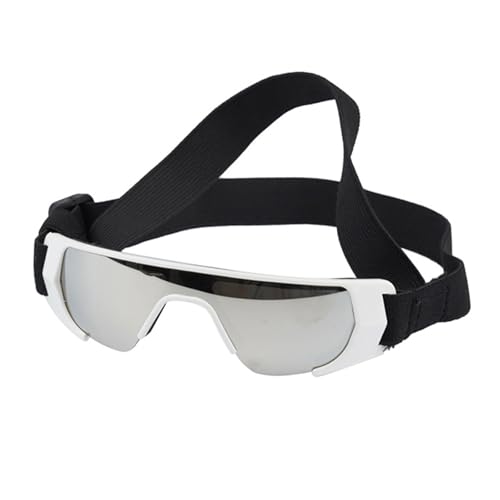 Schützende Haustier-Sonnenbrille für den Außenbereich, winddicht, stilvoller Look, Foto-Requisiten, Outdoor-Augenschutz von EXQIOUR