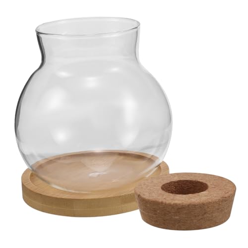 EXQUIMEUBLE 2 Sätze Hydroponische Pflanzenvase mit Bambusablage Terrarium Behälter für Desktop Dekoration für Wohnräume Pflanzenliebhaber EXQUIMEUBLE 2 Sätze Hydroponische Pflanzenvase mit Bambusablage Terrarium Behälter für Desktop Dekoration für Wohnräume Pflanzenliebhaber von EXQUIMEUBLE