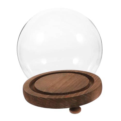 EXQUIMEUBLE Glasabdeckung Glaskuppel glaskugel Geschenkidee Transparente Glasglocke Stabile Glasvitrine Schaufenster Pflanzterrarien Glasterrarium mit Deckel Halloween-Vitrine Holz Coffee von EXQUIMEUBLE