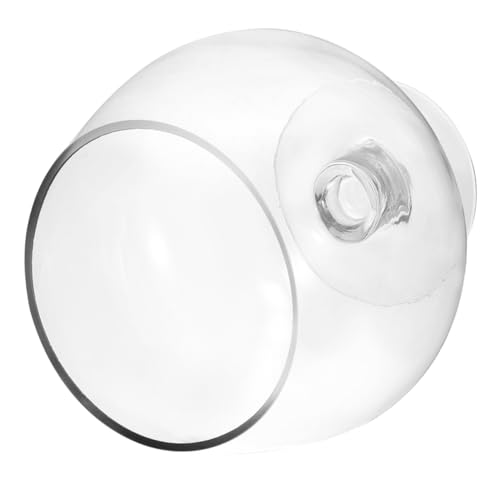 EXQUIMEUBLE Ökologische Fischtankvase glasschale zimmerpflanzen Tischplatte Fischtank Tischdekoration Betta Fischtank transparentes Aquariumbecken Tischfischbecken Fischglas klares Fischbecken von EXQUIMEUBLE
