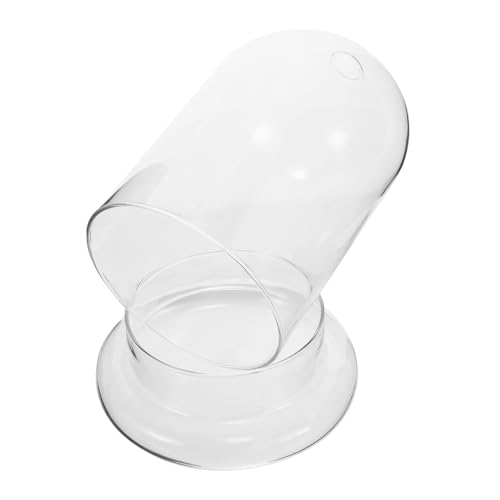 EXQUIMEUBLE Terrarium Vase Groß mit Klarem Glasglocke Design Langlebiger Pflanzhalter für Moos und Micro Landschaft Transparentes für Zimmer und Schreibtisch Stilvolles DIY Ökosystem Zubehör EXQUIMEUBLE Terrarium Vase Groß mit Klarem Glasglocke Design Langlebiger Pflanzhalter für Moos und Micro Landschaft Transparentes für Zimmer und Schreibtisch Stilvolles DIY Ökosystem Zubehör von EXQUIMEUBLE