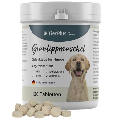 TierPlus Gelenktabletten für Hunde mit Grünlippmuschel, MSM, Ingwer, Chondroitin, Glucosamin und Teufelskralle angereichert. Hohe Fressakzeptanz, 120 Stück, Made in Germany von EXVital