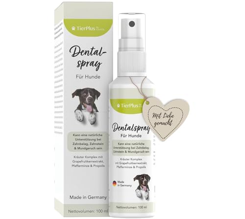 EXVital TierPlus Dentalspray für Hunde, gegen Zahnbelag, Zahnstein & Mundgeruch, natürliche Zahnreinigung & Zahnsteinentferner, 100 ml Sprühflasche, 100% natürlich & ohne Zusätze, Made in Germany von EXVital