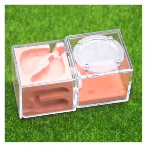 Ameisenburg Terrarium, Acryl-Ameisenburg-Farmnest Mehrfarbig 12x6x5cm(Rosso) von EYRMQWJPC