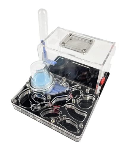 Ameisenburg Terrarium, Acryl Ant Castle Ant Farm Habitat Wissenschaft Beobachtung Kit Mit Multicolor 15cm(Black) von EYRMQWJPC