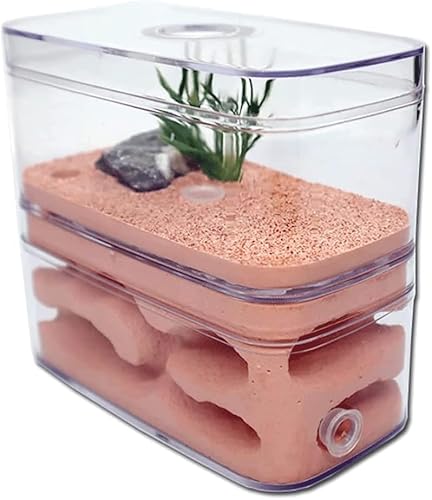 Ameisenburg Terrarium, Ameisenburg Ameisenfarm Formicarium Zuchtbox Lernspielzeug for Kinder 12x6x10cm Ameisenburg Terrarium, Ameisenburg Ameisenfarm Formicarium Zuchtbox Lernspielzeug for Kinder 12x6x10cm von EYRMQWJPC