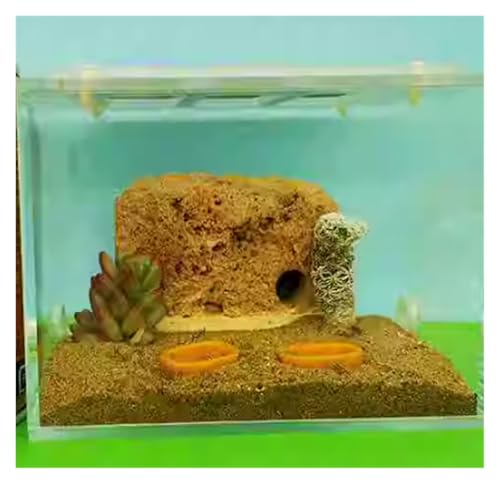Ameisenburg Terrarium, Ameisenfarm, Beobachtungsnest aus klarem Acryl, mehrere Größen Ameisenburg Terrarium, Ameisenfarm, Beobachtungsnest aus klarem Acryl, mehrere Größen von EYRMQWJPC