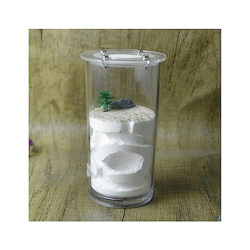 Ameisenburg Terrarium, Ameisenfarm-Beobachtungsset, Mehrfarbig, 13 x 6,7 cm, transparentes Acryl, wissenschaftliches Experiment(White) von EYRMQWJPC