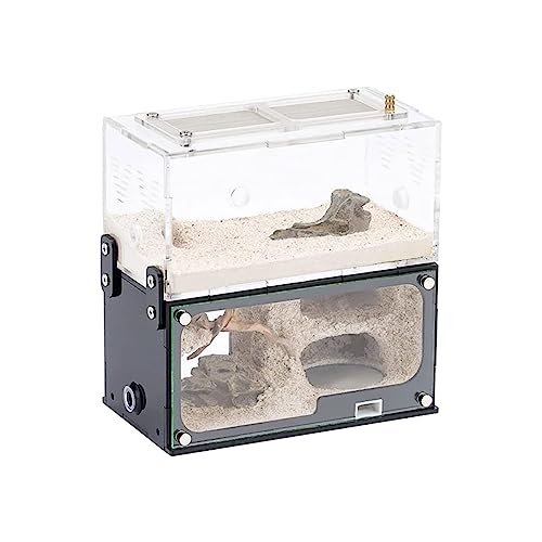 Ameisenburg Terrarium, Ameisenfarm Betonnest Klares transparentes Acrylschloss mit Wasserturm Wissenschaftslernset 15x15x8cm Ameisenburg Terrarium, Ameisenfarm Betonnest Klares transparentes Acrylschloss mit Wasserturm Wissenschaftslernset 15x15x8cm von EYRMQWJPC