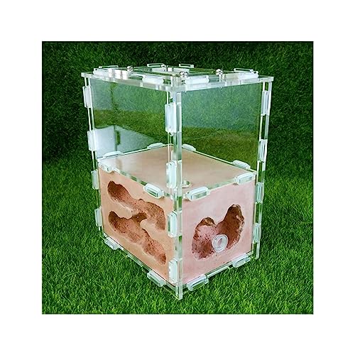 Ameisenburg Terrarium, Ameisenfarm-Burg-Lebensraum-Wissenschafts-Lernset, Gips, Acryl, Mehrfarbig, 10,7 x 7,6 x 12,5 cm(Red) von EYRMQWJPC
