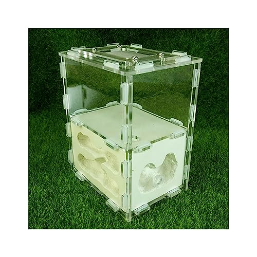 Ameisenburg Terrarium, Ameisenfarm-Burg-Lebensraum-Wissenschafts-Lernset, Gips, Acryl, Mehrfarbig, 10,7 x 7,6 x 12,5 cm(White) von EYRMQWJPC
