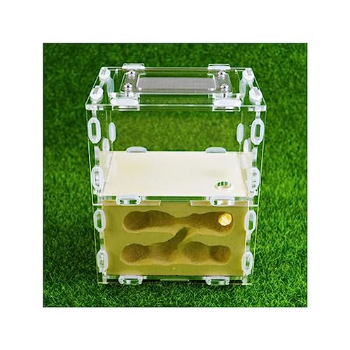Ameisenburg Terrarium, Ameisenfarm-Burg-Lebensraum-Wissenschafts-Lernset, Gips, Acryl, Mehrfarbig, 10,7 x 7,6 x 12,5 cm(Yellow) von EYRMQWJPC