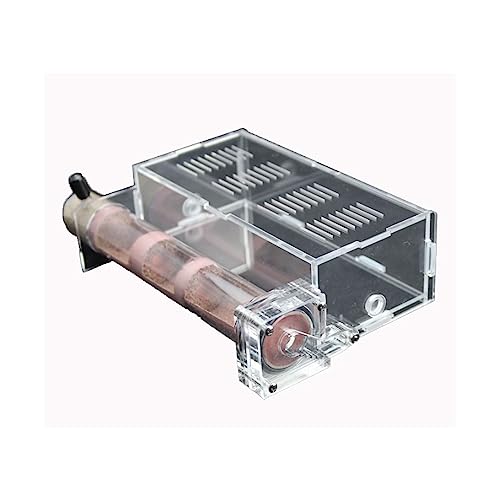 Ameisenburg Terrarium, Ant Farm Box mit Reagenzglas klarem Acrylglas Anthill Colony Observation Kit Multi-Size Ameisenburg Terrarium, Ant Farm Box mit Reagenzglas klarem Acrylglas Anthill Colony Observation Kit Multi-Size von EYRMQWJPC