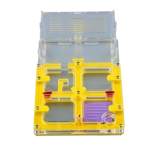 Ameisenburg Terrarium, Ant Nest Habitat Acryl Transparent Ant Farm Beobachtung Kit 12x11,7x14,8 cm Multicolor(Yellow) von EYRMQWJPC
